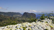 Hele dag Oost-Madeira - Camacha, Pico do Ariero, Ribeiro Frio, Portela, Santana Hele dag Oost-Madeira - Camacha, Pico do Ariero, Ribeiro Frio, Portela, Santana