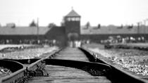 Combinatietour naar Auschwitz-Birkenau en Wieliczka-zoutmijn Combinatietour naar Auschwitz-Birkenau en Wieliczka-zoutmijn