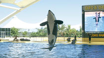 Ingresso duplo para o Parque Loro e o Parque Siam com traslado para o Parque Loro, Tenerife