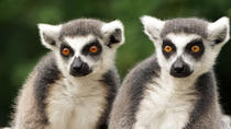 Zoo de Salzbourg Zoo de Salzbourg
