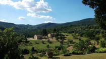 Chianti-wijntour van een halve dag vanuit Florence Chianti-wijntour van een halve dag vanuit Florence