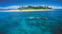Boottocht naar Low Isles en het Great Barrier Reef vanuit Port Douglas Boottocht naar Low Isles en het Great Barrier Reef vanuit Port Douglas