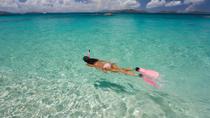 Palm Pleasure-snorkelavontuur op Aruba Palm Pleasure-snorkelavontuur op Aruba