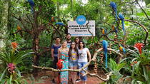 Entrada general y excursión al parque de aves Entrada general y excursión al parque de aves