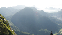 Wandeltocht door het Tijuca-regenwoud in Rio de Janeiro Wandeltocht door het Tijuca-regenwoud in Rio de Janeiro