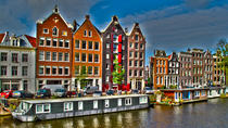 Entrébillet til Van Gogh Museum og dagpas til stig på/stig af-bådene i Amsterdam Entrébillet til Van Gogh Museum og dagpas til stig på/stig af-bådene i Amsterdam