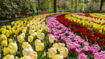 Eintrittskarte zur Gartenanlage Keukenhof mit Hin- und Rücktransfer ab Amsterdam Eintrittskarte zur Gartenanlage Keukenhof mit Hin- und Rücktransfer ab Amsterdam