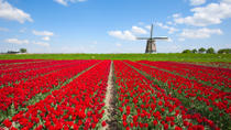 Excursão turística de um dia na Holanda Excursão turística de um dia na Holanda