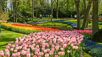 Spring køen over: Tur til Keukenhof-parken og besøg på en tulipanfarm fra Amsterdam Spring køen over: Tur til Keukenhof-parken og besøg på en tulipanfarm fra Amsterdam