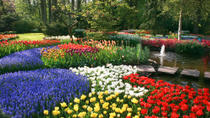 Tur fra Amsterdam til Keukenhof-parken og tulipanmarkene Tur fra Amsterdam til Keukenhof-parken og tulipanmarkene