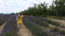 Lavanda campos de degustação de vinhos no Castelo de Berne Moustiers Grand Canyon Verdon, Nice