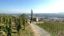 Côtes du Rhône-Tour mit Wein- und Schokoladenverkostung Côtes du Rhône-Tour mit Wein- und Schokoladenverkostung