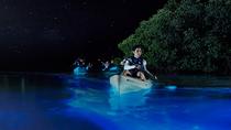 Excursão noturna de caiaque para observar a bioluminescência, Orlando