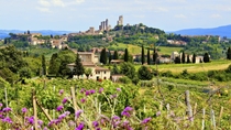 Excursión de un día a en grupo a la región vinícola de la Toscana desde Roma con una cata de vinos Excursión de un día a en grupo a la región vinícola de la Toscana desde Roma con una cata de vinos