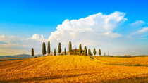 Excursión de un día en grupo a la región vinícola de la Toscana desde Florencia con una cata de vinos y almuerzo Excursión de un día en grupo a la región vinícola de la Toscana desde Florencia con una cata de vinos y almuerzo