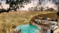 Circuit privé : aventure safari de luxe de 6 jours en Tanzanie (tout compris) Circuit privé : aventure safari de luxe de 6 jours en Tanzanie (tout compris)