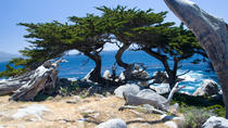 2-dages tur til Monterey, Carmel og 17-Mile Drive fra San Francisco 2-dages tur til Monterey, Carmel og 17-Mile Drive fra San Francisco