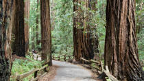 Visita turística a Muir Woods y Sausalito más crucero por la Bahía Visita turística a Muir Woods y Sausalito más crucero por la Bahía