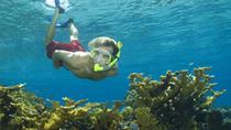 Landausflug in Nassau: Schnorchelabenteuer auf den Bahamas Landausflug in Nassau: Schnorchelabenteuer auf den Bahamas