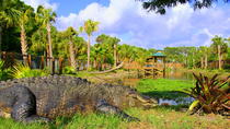 Explorez la Floride sauvage au départ d'Orlando Explorez la Floride sauvage au départ d'Orlando