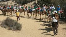 Passeio de camelo nas Dunas de Maspalomas, Gran Canária