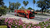 Excursión en autobús turístico con paradas libres de Las Palmas de Gran Canaria Excursión en autobús turístico con paradas libres de Las Palmas de Gran Canaria