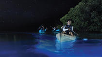 BioBay-Kajaktour von Vieques bei Nacht BioBay-Kajaktour von Vieques bei Nacht