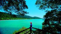 Dagtocht naar het Daintree Regenwoud, Cape Tribublation en Rainforest Habitat Wildlife Sanctuary Dagtocht naar het Daintree Regenwoud, Cape Tribublation en Rainforest Habitat Wildlife Sanctuary