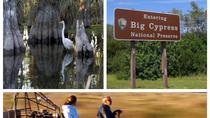 Excursão particular de meio dia em Everglades com aerobarco Miccosukee até a Reserva Nacional Big&nbsp;...&nbsp;