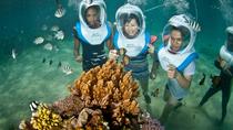 Balade sous-marine avec Aquanauts à Nusa Lembongan Balade sous-marine avec Aquanauts à Nusa Lembongan