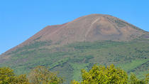 Trip van een halve dag naar de Vesuvius vanuit Napels Trip van een halve dag naar de Vesuvius vanuit Napels
