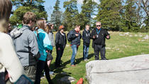 Excursión de medio día a la historia vikinga desde Estocolmo Excursión de medio día a la historia vikinga desde Estocolmo