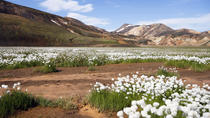 Warmwaterbronnen van Landmannalaugar en wandelen in de hooglanden Warmwaterbronnen van Landmannalaugar en wandelen in de hooglanden