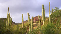 Tour en petit groupe : Excursion de luxe d'une journée de Phoenix et Scottsdale Tour en petit groupe : Excursion de luxe d'une journée de Phoenix et Scottsdale