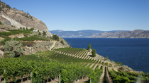 Excursión de 4 días a Kelowna desde Vancouver que incluye una excursión a la bodega Okanagan Excursión de 4 días a Kelowna desde Vancouver que incluye una excursión a la bodega Okanagan