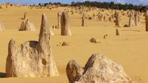 Dagstur i firhjulstrækker til Pinnacles Desert, koalaer og sandboarding fra Perth Dagstur i firhjulstrækker til Pinnacles Desert, koalaer og sandboarding fra Perth