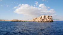 Tour privado: Ras Mohammed Tour privado: Ras Mohammed