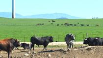 Andalusian Countryside Day Trip from Jerez Andalusian Countryside Day Trip from Jerez