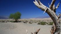Dagtrip naar Death Valley vanuit Las Vegas Dagtrip naar Death Valley vanuit Las Vegas