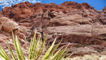 Excursión al cañón Roca Roja Excursión al cañón Roca Roja