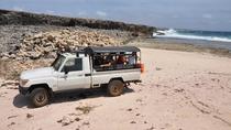 National Park-jeepsafari National Park-jeepsafari