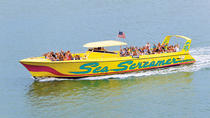 Cruzeiro Sea Screamer em Clearwater Beach com transporte, Orlando