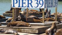 PIER 39 Attraction Pass PIER 39 Attraction Pass