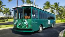 Onbeperkte rittenpas voor de I-RIDE Trolley Onbeperkte rittenpas voor de I-RIDE Trolley