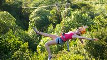 Excursión a un cenote en Playa del Carmen: Buceo de superficie, rappel y tirolina Excursión a un cenote en Playa del Carmen: Buceo de superficie, rappel y tirolina