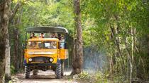 Recorrido por la selva de Cancún: Tulum, buceo de superficie en Cenote, paseo en 4x4 y tirolina Recorrido por la selva de Cancún: Tulum, buceo de superficie en Cenote, paseo en 4x4 y tirolina