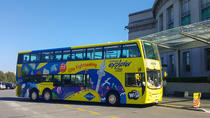 Pass 24 heures pour un bus à arrêts multiples comprenant le Kelly Tarlton's Sea Life Aquarium et le musée d'Auckland Pass 24 heures pour un bus à arrêts multiples comprenant le Kelly Tarlton's Sea Life Aquarium et le musée d'Auckland