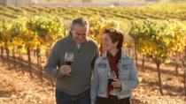 Visita de degustación de vinos para grupos pequeños a Veneto Visita de degustación de vinos para grupos pequeños a Veneto