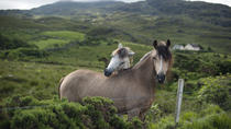 Excursão de 2 dias em Connemara e Baía de Galway saindo de Dublin de trem Excursão de 2 dias em Connemara e Baía de Galway saindo de Dublin de trem