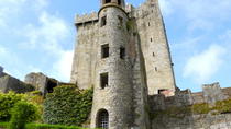 Treinreis naar Cork en Blarney Castle vanuit Dublin Treinreis naar Cork en Blarney Castle vanuit Dublin